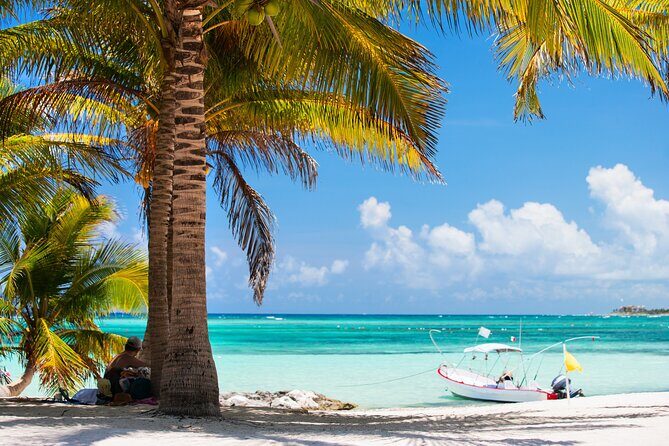 Cancun: Sea turtles and Cenote Tour With Pick Up from your Hotel - The Highlights You’ll Feel On This Tour