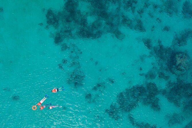 Cancun: Sea turtles and Cenote Tour With Pick Up from your Hotel - Guide and Group Size: Why the Day Feels Guided