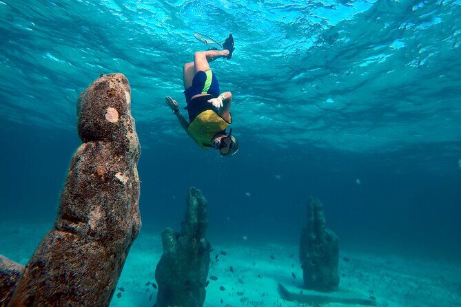 Cancun Snorkeling Adventure: Underwater Museum, Reef & Shipwreck - Price and What You’ll Really Budget