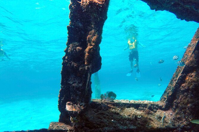 Cancun Snorkeling Adventure: Underwater Museum, Reef & Shipwreck - Who This Snorkeling Plan Fits Best (and Who Should Think Twice)