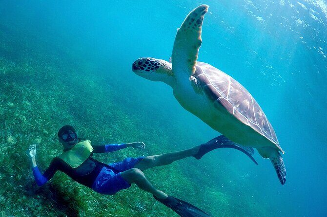Cancun Snorkeling Adventure: Underwater Museum, Reef & Shipwreck - What to Bring: Make Your Feet and Your Day Comfortable