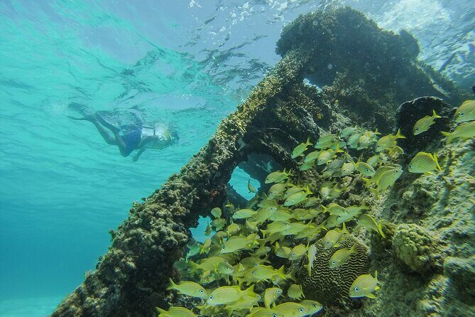 Cancun Snorkeling Adventure: Underwater Museum, Reef & Shipwreck - Facilities After Snorkeling: Showers, Lockers, and Staying Fresh