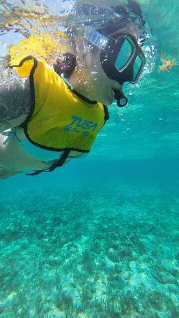 Cancun: Snorkeling Boat Tour with Gear - Cenotes on the sea surface: what makes this stop feel special