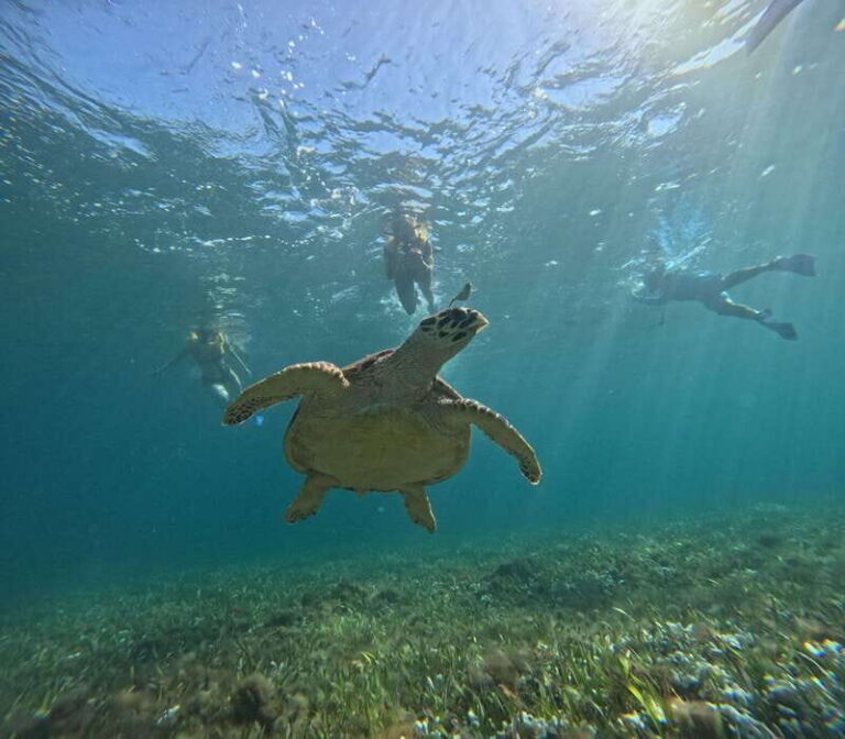 Cancun: Snorkeling Boat Tour with Gear - Meeting up and getting your snorkeling rhythm going