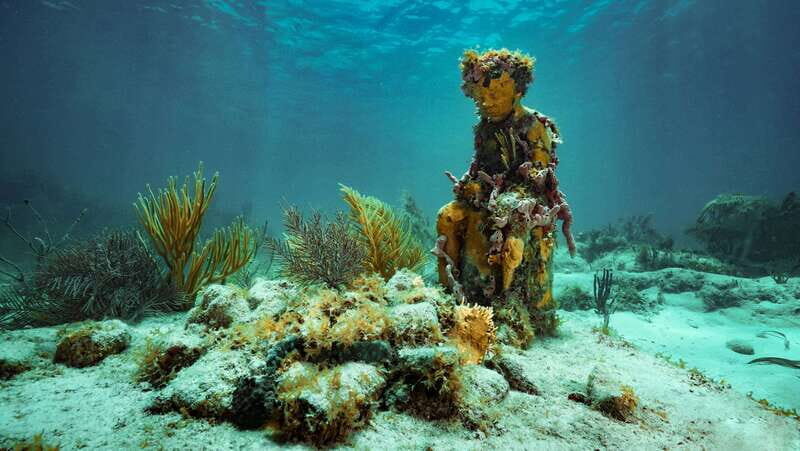 Cancun: Snorkeling Tour at MUSA The Underwater Museum - Key Points You’ll Care About