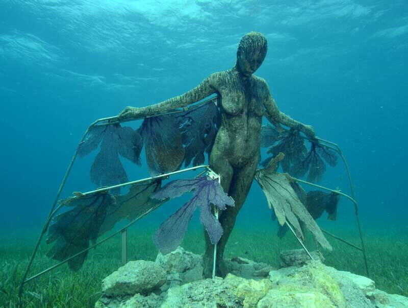 Cancun: Snorkeling Tour at MUSA The Underwater Museum - Guides and Safety: What the Best Trips Feel Like