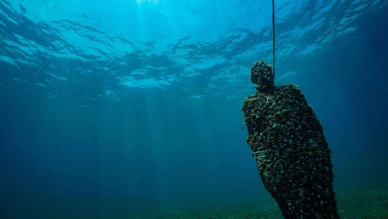 Cancun: Snorkeling Tour at MUSA The Underwater Museum - Value and Cost: How the $58 Price Adds Up