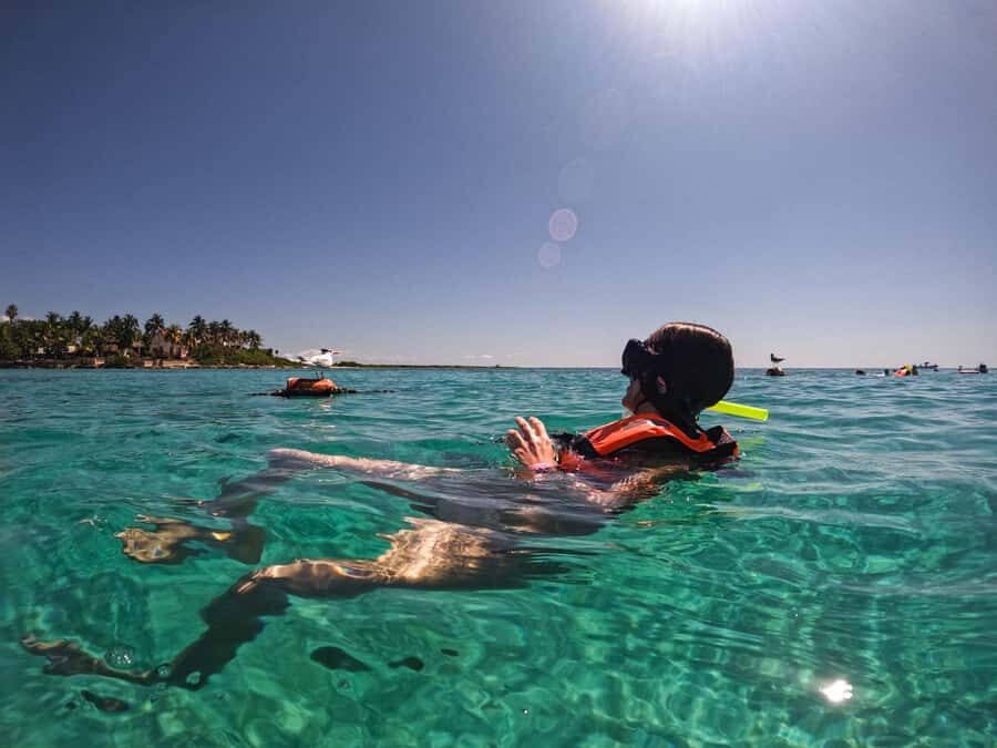 Cancun: Snorkeling tour with Sea Turtles & Cenote, half day. - Price and the Extra Fee Question: Getting Value Without Headaches