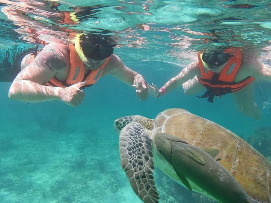 Cancun: Snorkeling tour with Sea Turtles & Cenote, half day. - What You Should Bring (So the Day Feels Easy)