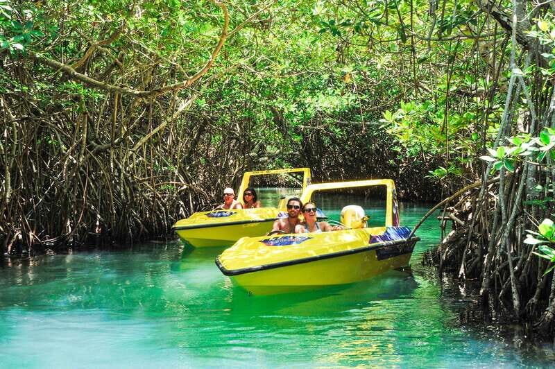 Cancun: Speedboat Mangrove Jungle & Snorkel Tour - Key things I’d bet you’ll care about