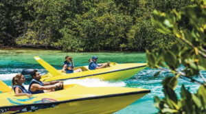 Cancun: Speedboat Mangrove Jungle & Snorkel Tour - Mangroves 101: how to spot life in the roots (not just trees)