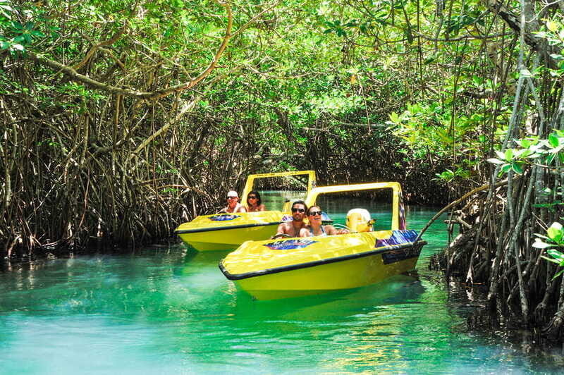Cancun: Speedboat Mangrove Jungle & Snorkel Tour - Should you book this Cancun speedboat mangrove jungle and snorkel tour?