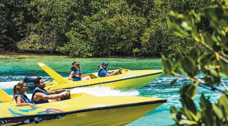 Cancun: Speedboat Mangrove Jungle & Snorkel Tour - Mangroves 101: how to spot life in the roots (not just trees)