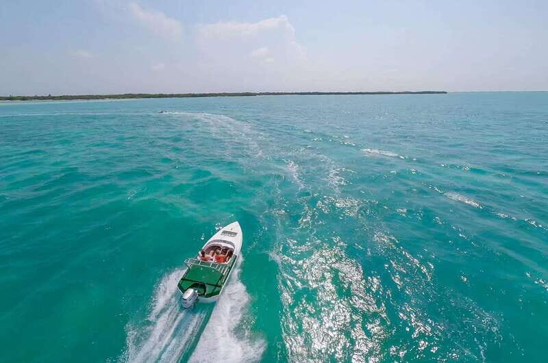 Cancun: Speedboat tour to a Virgin Beach - Chacmuchuc Lagoon: Where the Wildlife Habitat Adds Meaning
