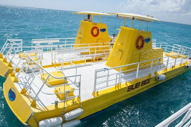 Cancun Submarine and Optional Snorkeling Tour - Marine-life highlights that show up again and again