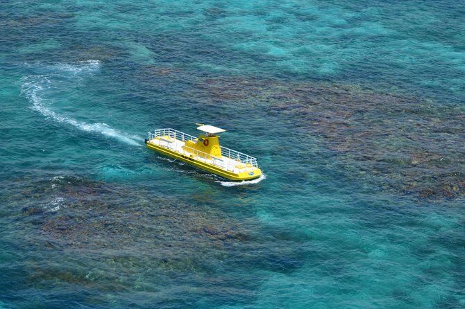 Cancun Submarine and Optional Snorkeling Tour - Should you book this Cancun submarine with optional snorkeling?