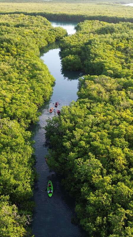 Cancun: Sunset Kayak Experience in the Mangroves - Sunset Kayak in Nichupté Lagoon: What Makes This Mangrove Trip Different