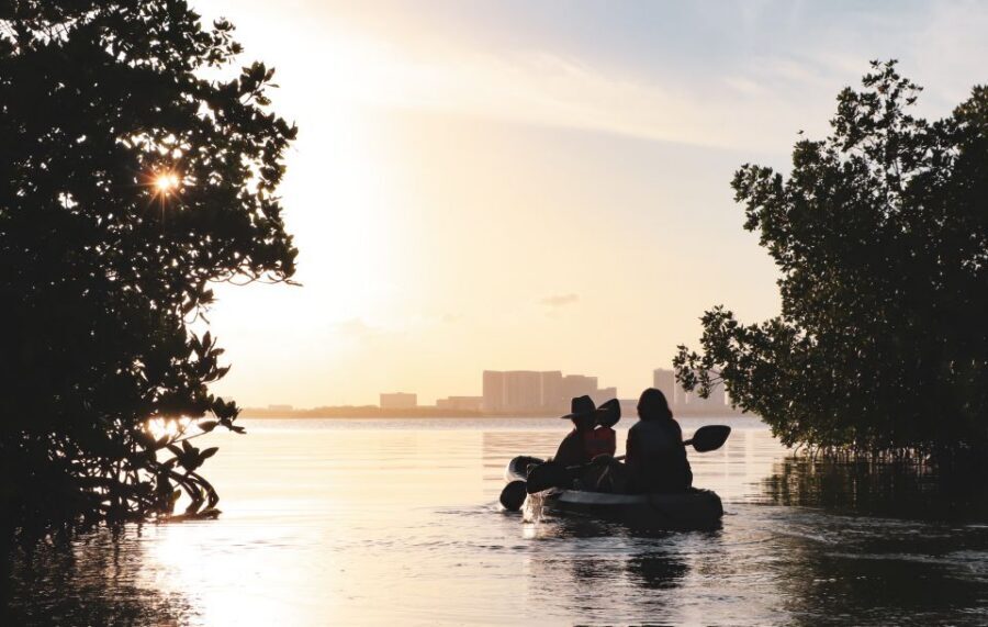 Cancun: Sunset Kayak Experience in the Mangroves - Photo Stop and Wildlife Scanning Break (15 Minutes): The Best Moment to Catch the Sunset