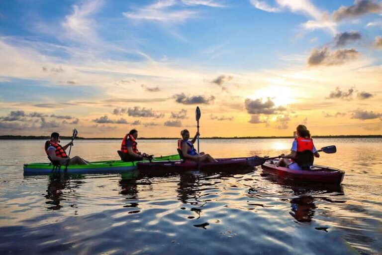 Cancun: Sunset Kayak Experience in the Mangroves - Go Kayak Cancun Meeting Point: Finding the Marina Without Stress
