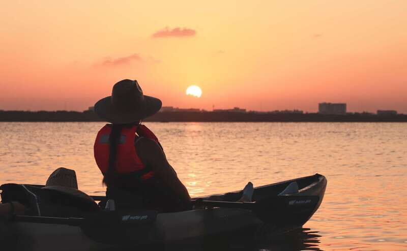 Cancun: Sunset Kayak Experience in the Mangroves - Wildlife Chances and the Listening Strategy That Actually Works