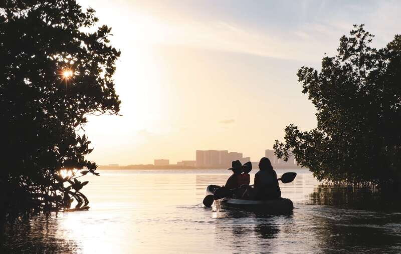 Cancun: Sunset Kayak Experience in the Mangroves - Who This Kayak Tour Fits Best (and Who Should Skip It)