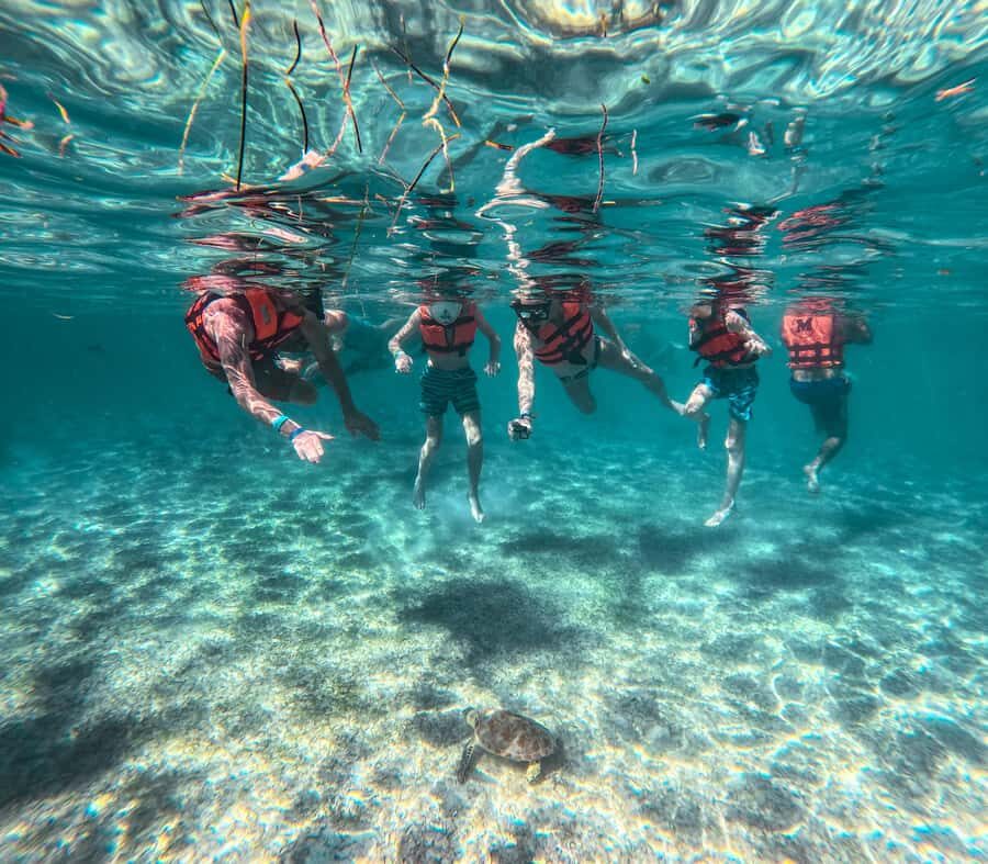 Cancun: Tulum Ruins, Akumal Turtles, Cenote & Caves Tour - Key highlights to know before you go