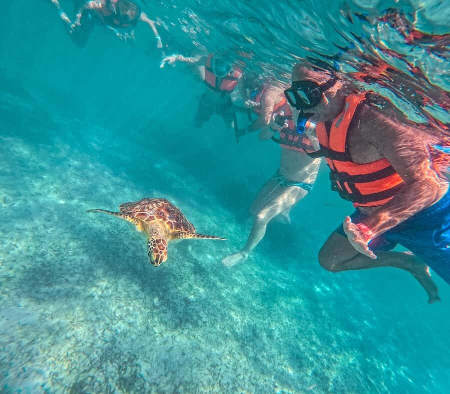 Cancun: Tulum Ruins, Akumal Turtles, Cenote & Caves Tour - What this Cancun to Riviera Maya day trip really feels like