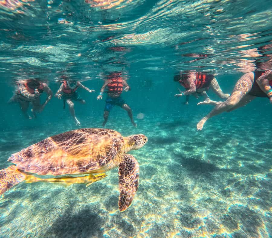Cancun: Tulum Ruins, Akumal Turtles, Cenote & Caves Tour - Nohoch Nah Chich cenote: caves, stalactites, and sacred stillness