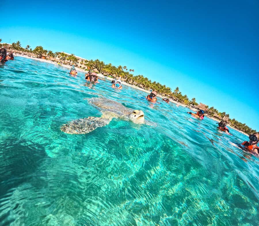 Cancun: Tulum Ruins, Akumal Turtles, Cenote & Caves Tour - Transportation time, pickup options, and the real day length