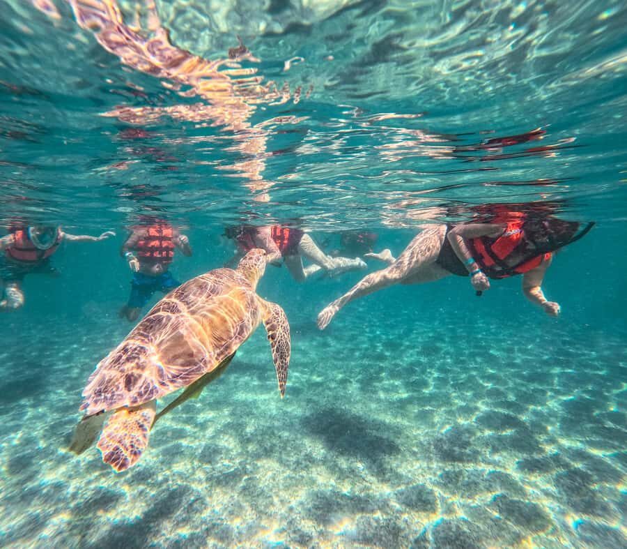Cancun: Tulum Ruins, Akumal Turtles, Cenote & Caves Tour - Price and value: $53 plus taxes, and what you’re buying