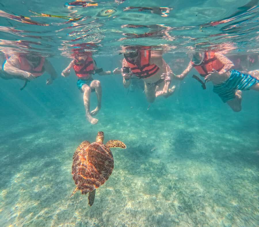 Cancun: Tulum Ruins, Akumal Turtles, Cenote & Caves Tour - Early Access at Tulum Ruins: better photos and easier timing