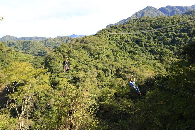 Canopy River Zipline Tour and Mule Ride - The Full 5-Hour Flow: A Practical Itinerary Walkthrough