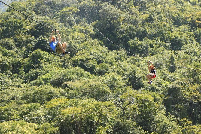 Canopy River Zipline Tour and Mule Ride - Getting Picked Up: Meeting Points and Timing Reality
