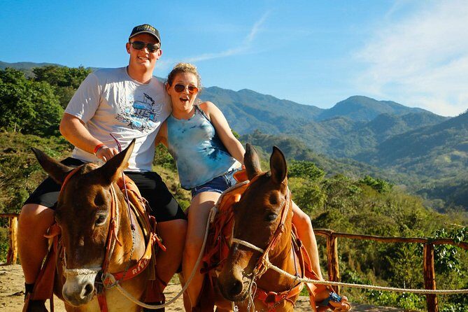 Canopy River Zipline Tour and Mule Ride - Price and Value: What $120 Gets You (and What It Doesn’t)