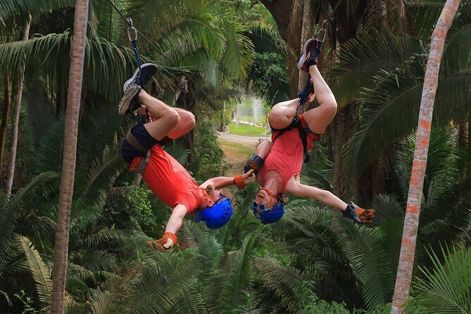 Canopy Tour Experience in Sayulita, Nuevo Nayarit. - The 2 km course: 13 lines, double sections, and 4 bridges