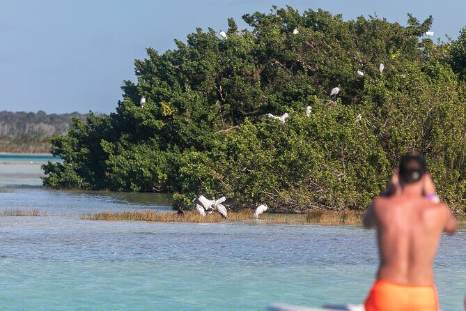 Catamaran Adventure: Sailing and Swimming in the Bacalar Lagoon - Drinks, Snacks, and the Soundtrack on Board