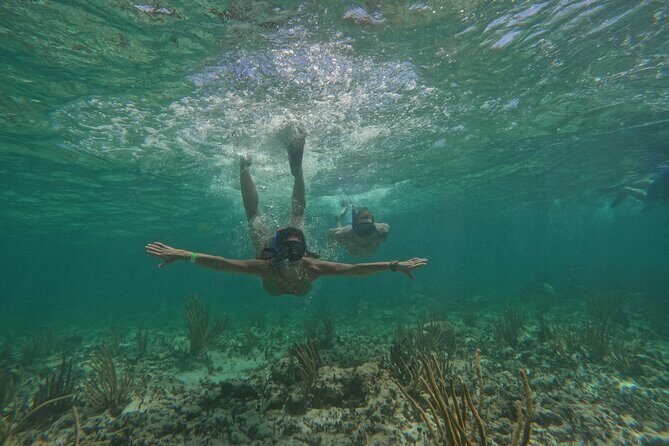 Catamaran Cruise in Riviera Maya With Snorkeling & Beach Club - Two Snorkeling Stops: How to Get More From the Water Time