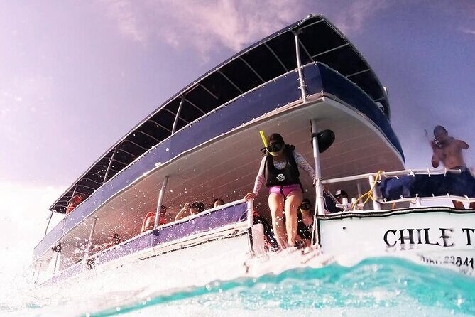 Catamaran Excursion + Open bar + Snorkeling at El Cielo - El Cielo sandbar (Stop 3): starfish in shallow water