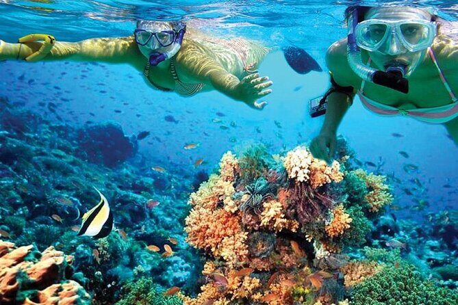 Catamaran Sailing to Isla Mujeres with Snorkeling, Lunch & Open Bar included - Timing: 8 Hours Sounds Simple, But It’s a Real Day Plan