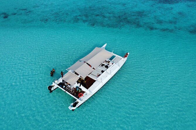 Catamaran Snorkeling to El Cielo and The Money Bar Beach Club - Key points before you book