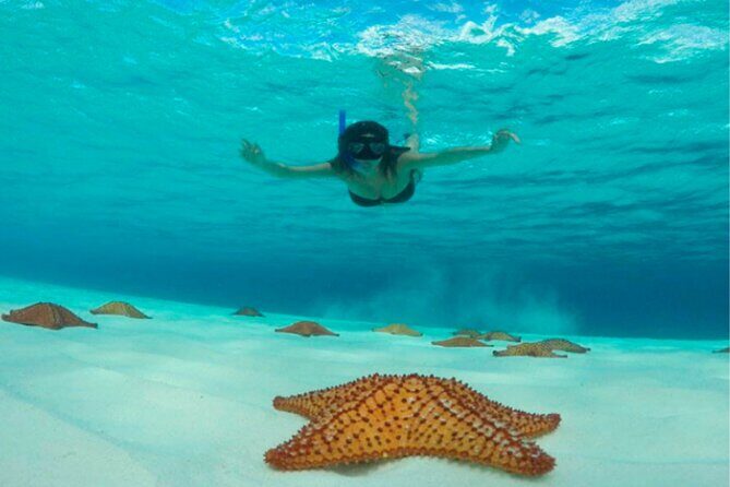Catamaran Snorkeling to El Cielo and The Money Bar Beach Club - Playa El Cielo: starfish sandbars and shallow-water calm