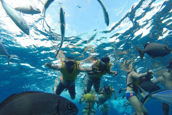 Catamaran Snorkeling to El Cielo and The Money Bar Beach Club - Onboard drinks and snacks: good value, with one key footnote