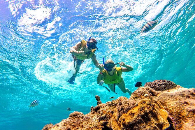Catamaran Snorkeling to El Cielo and The Money Bar Beach Club - Marine park fee and the real cost of the day