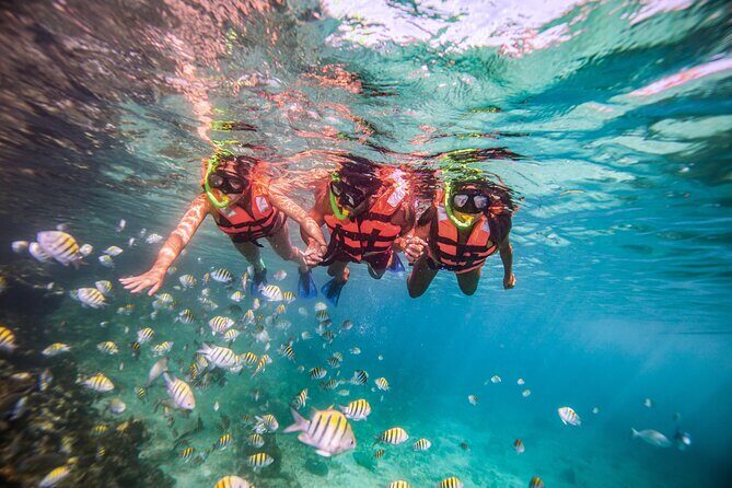 CATAMARAN to Isla Mujeres, Snorkel & Beach Club by Xcaret - El Meco Reef Snorkeling: Where the Water Time Counts