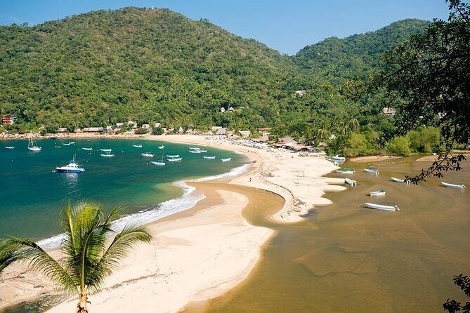 Catamaran Yelapa Beach Tour with Snorkeling, Food and Open Bar - Key things that make this tour worth a look