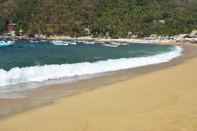 Catamaran Yelapa Beach Tour with Snorkeling, Food and Open Bar - Price and value: does $94.45 make sense?