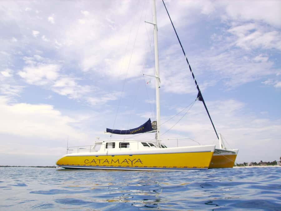 Catamaya Snorkel & Sea Life Adventure day tour - Price and logistics: where the real value shows up