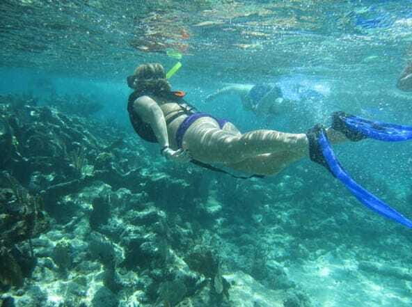 Catamaya Snorkel & Sea Life Adventure day tour - Who this tour suits best (and who should skip it)