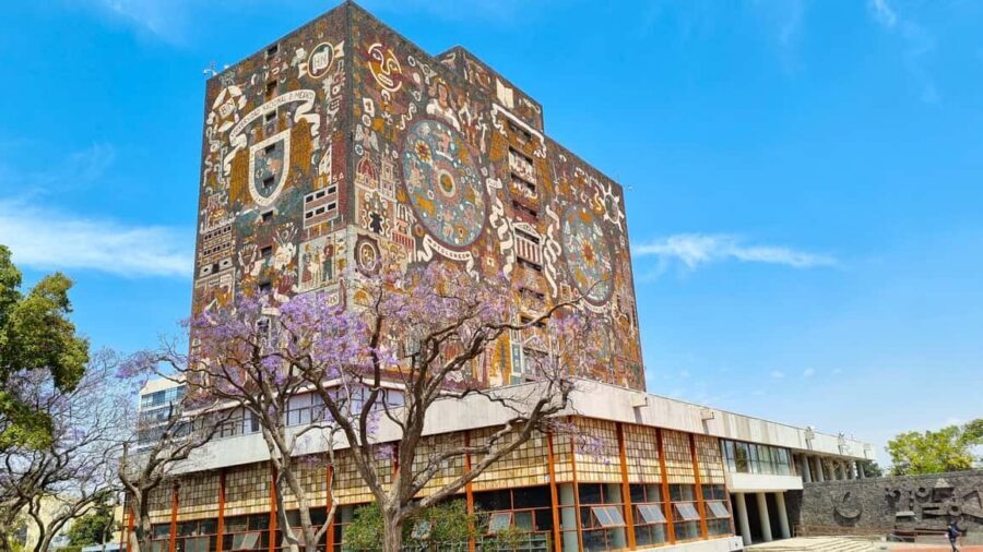CDMX: Coyoacán, UNAM, Xochimilco, and optional Frida Kahlo Museum - Price and value: is $48 a good deal for this mix?