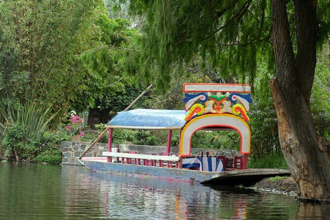 CDMX Enjoy a unique tour of Xochimilco and Coyoacán - Xochimilco by trajinera: working chinampas, vendors, and a slower pace